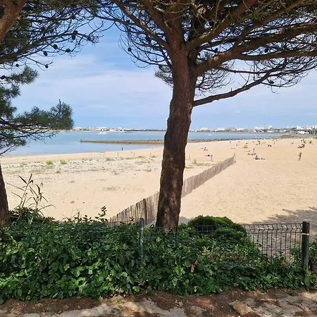 Aux Minimes Magnifique Vue Au Pied De La 50m2-2ch.